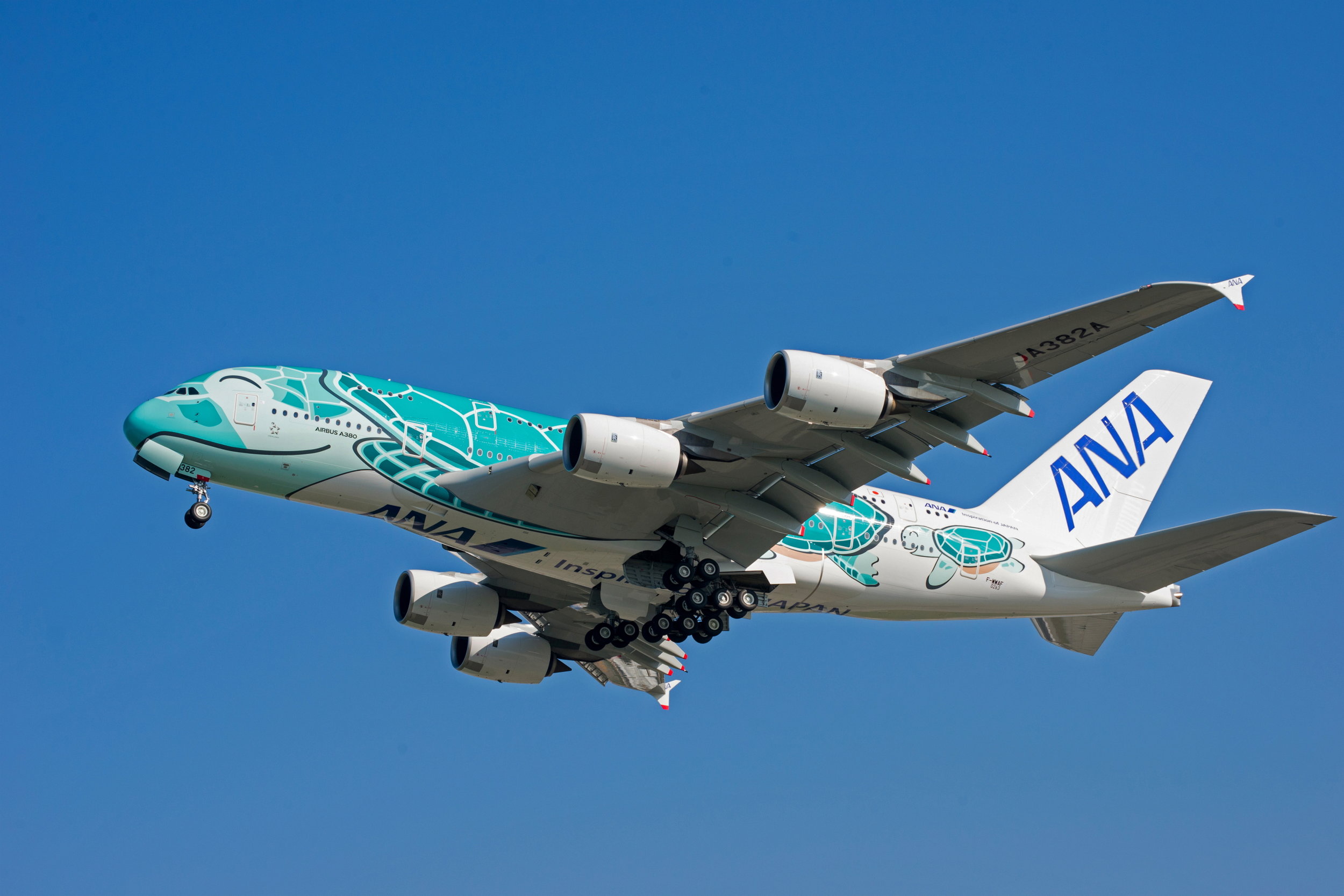 航空機・ヘリコプター ANA FLYING HONU 1st FLIGHT ANA A380 Flying Honu Inaugural Flight Tokyo Honolulu - YouTube